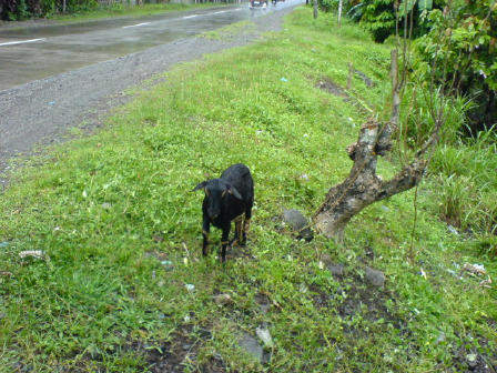 A friend