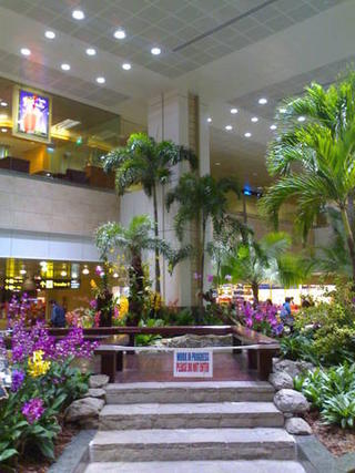 Changi airport, Singapore