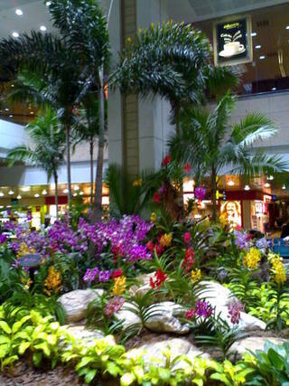 Changi airport, Singapore