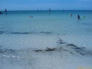 The Gulf of Mexico