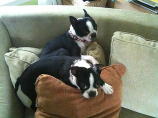 Big & Little brother catch some Z's