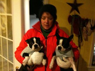 The poor dogs have to go out