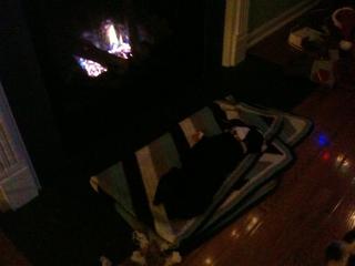 Mugsy passed out in front of the fire