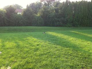 Spot the Mugsy!