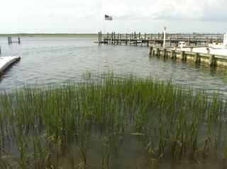 The bay