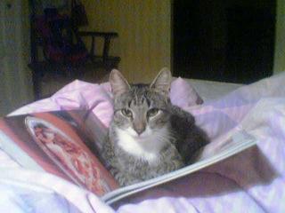 Bed-time reading