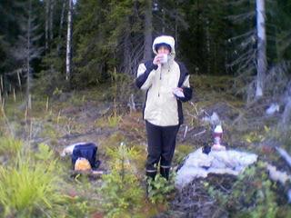 hunting for mushroom