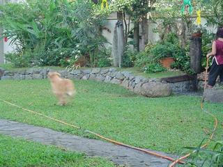 Catch!