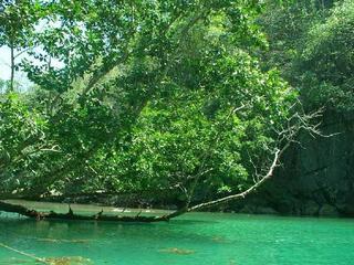 GREEN!