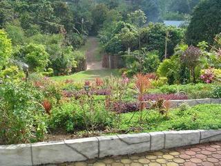 More Lombard