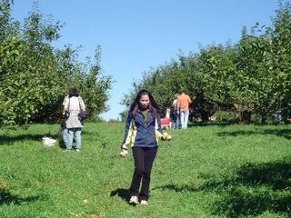 Apple Pickin'